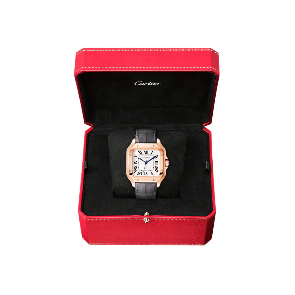 C S de C Large Automatic