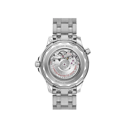 O Seamaster Ref# 210.30.42.20.06.001