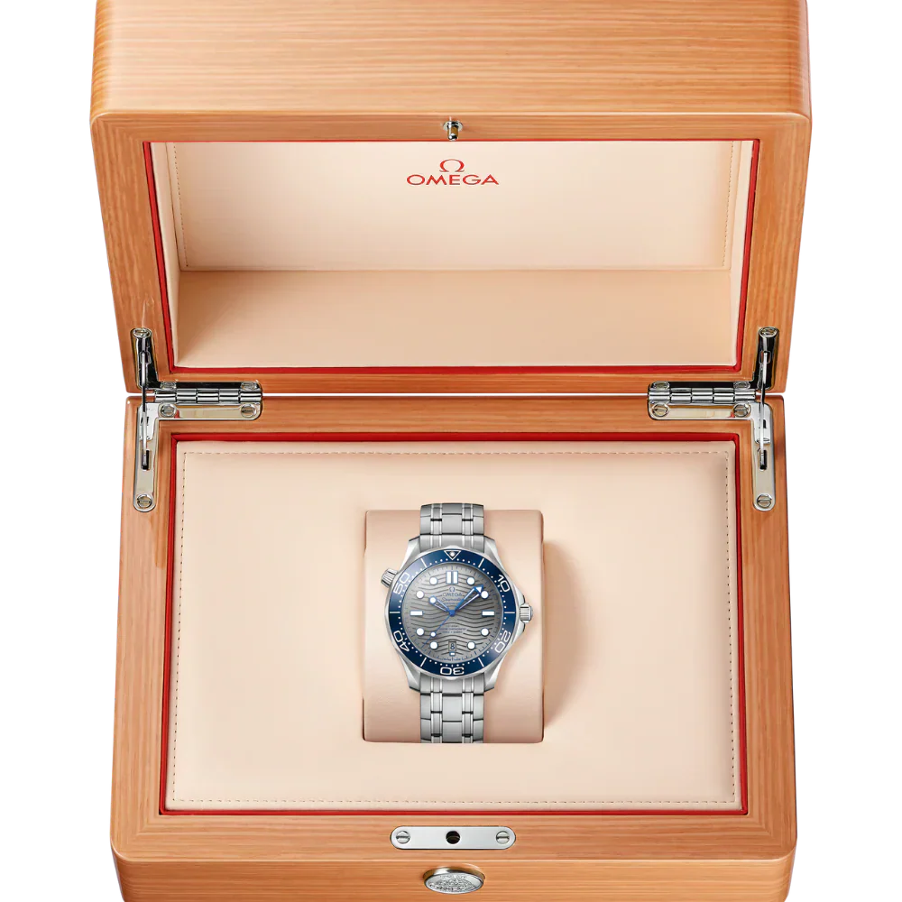 O Seamaster Ref# 210.30.42.20.06.001