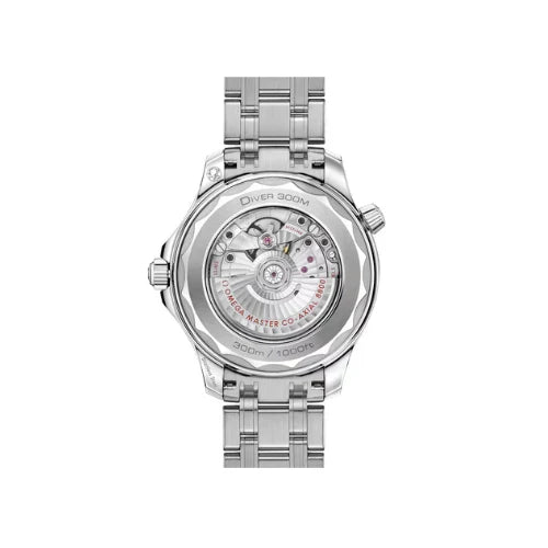 O Seamaster Ref# 210.30.42.20.03.001