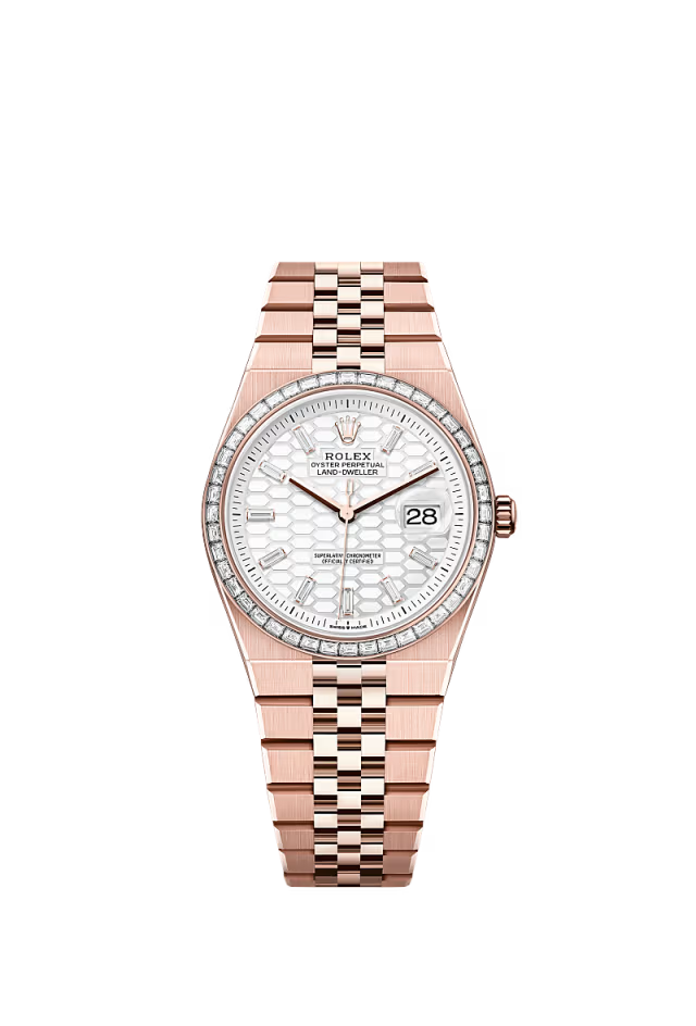 RL Land-Dweller 36 Oyster, 36 mm, Everose gold and diamonds  Reference 127285TBR